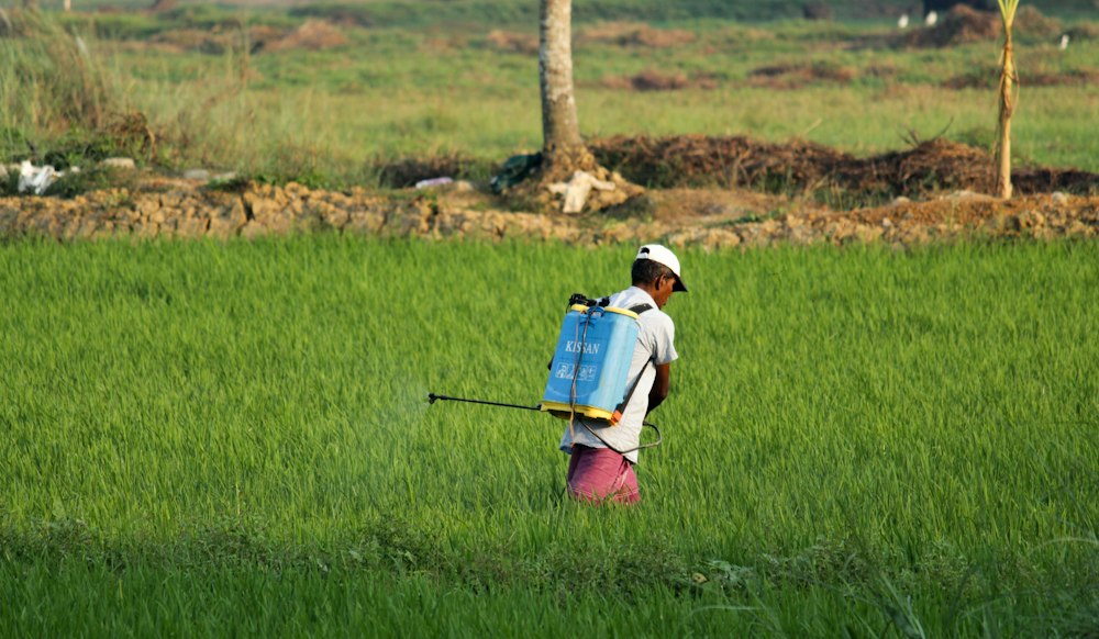 Farmer in green field
